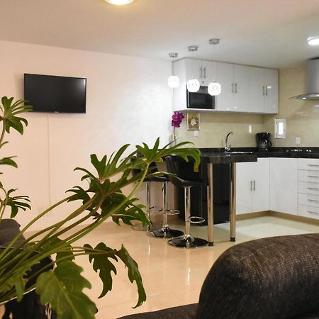 Departamento Alejandro - Completo Y Amplio Departamento En Una Zona Muy Tranquila De La Cdmx Mexico City Exteriör bild